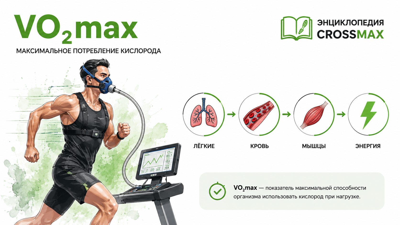 Что такое VO₂max