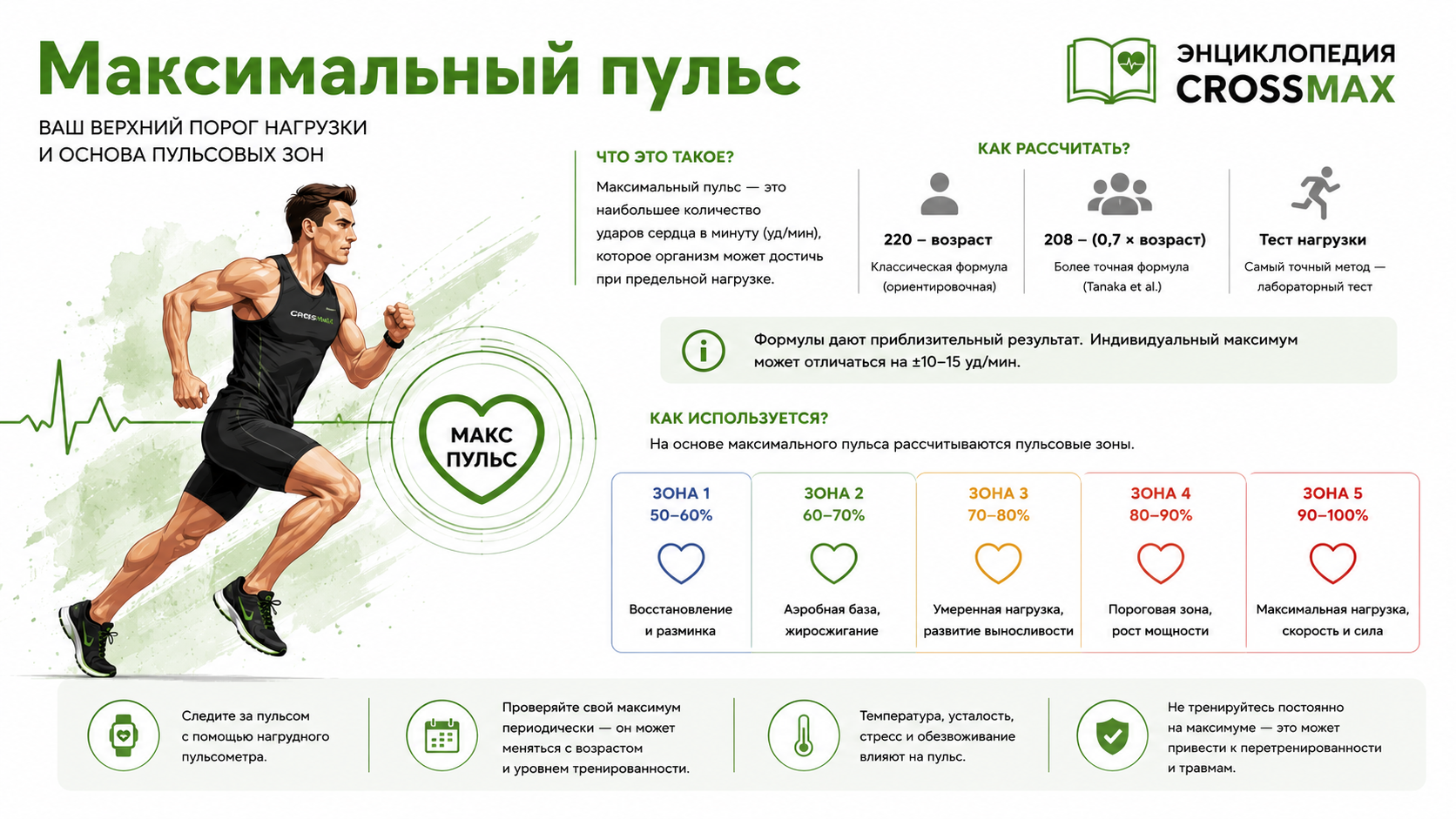 Максимальный пульс
