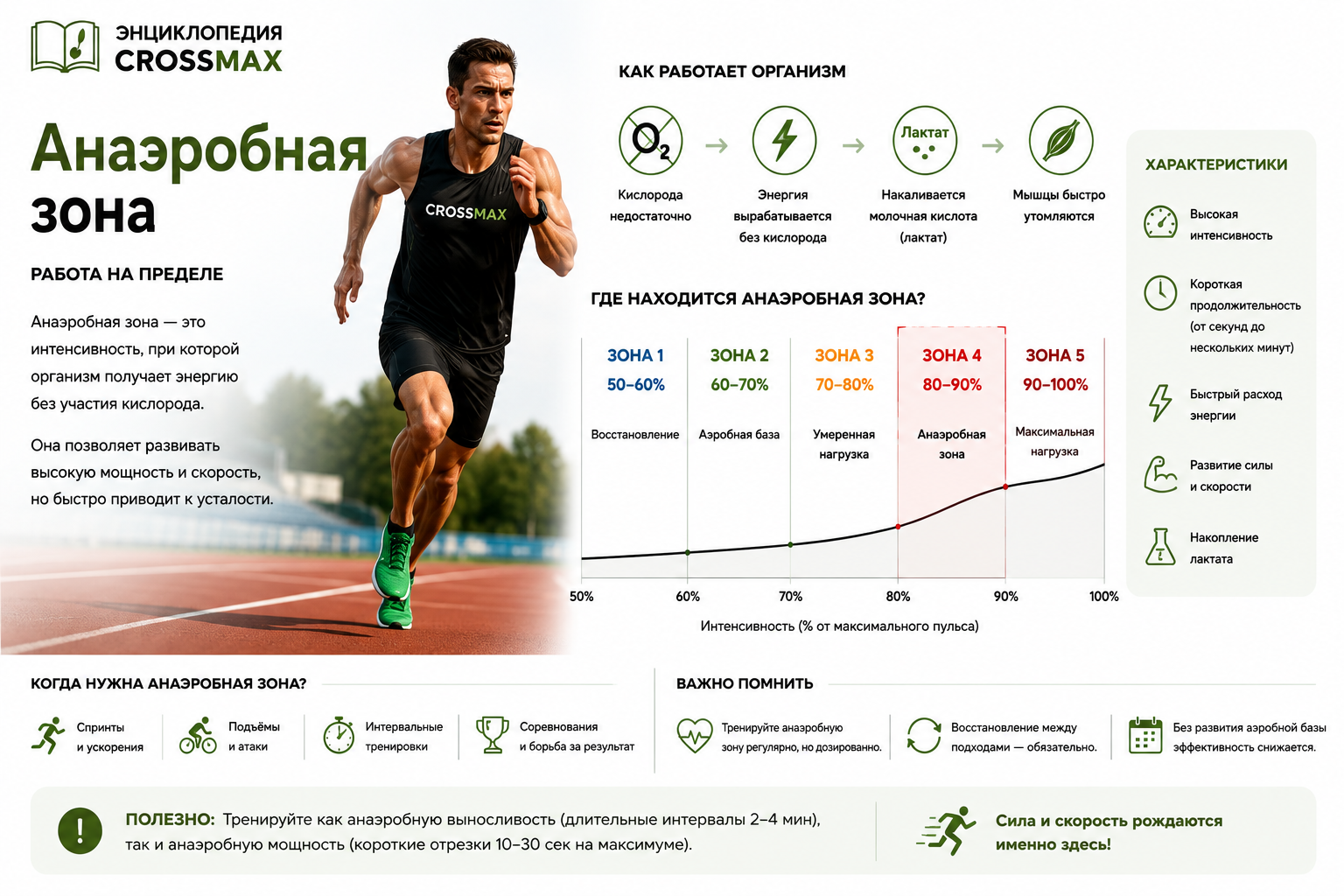 Анаэробная зона