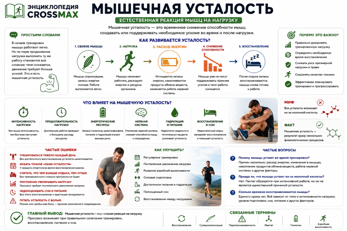 Что такое Мышечная усталость?