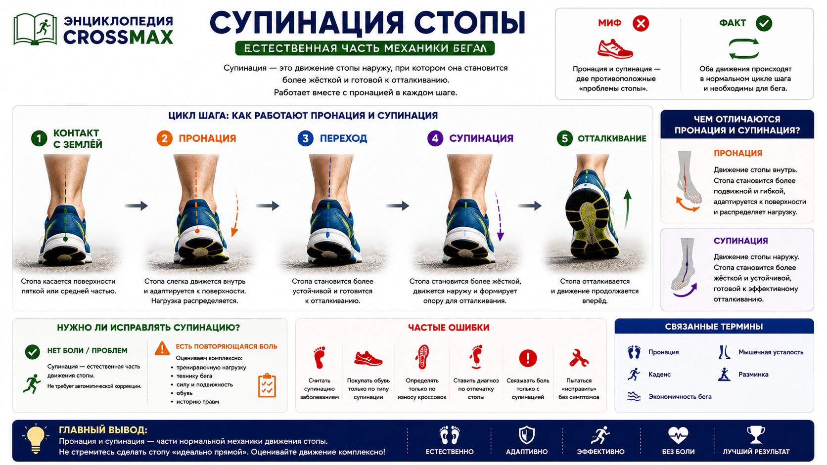 Супинация
