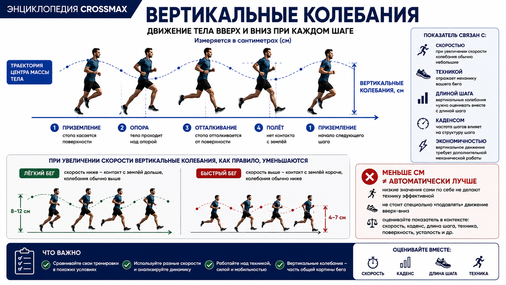 Вертикальные колебания в беге